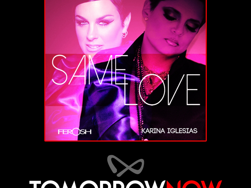 Same Love (feat. Karina Iglesias) [Tomorrownow Big Love Mix] (Single)