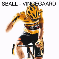 Vingegaard (Single)