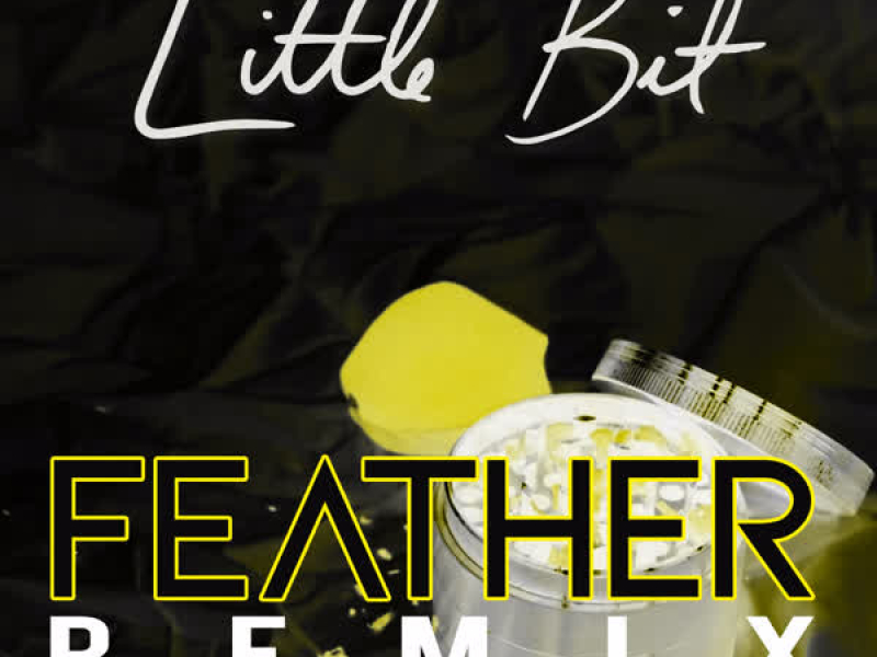 Little Bit (Feather Remix) (Single)