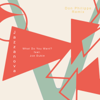 What Do You Want (Don Philippe Remix) (Single)