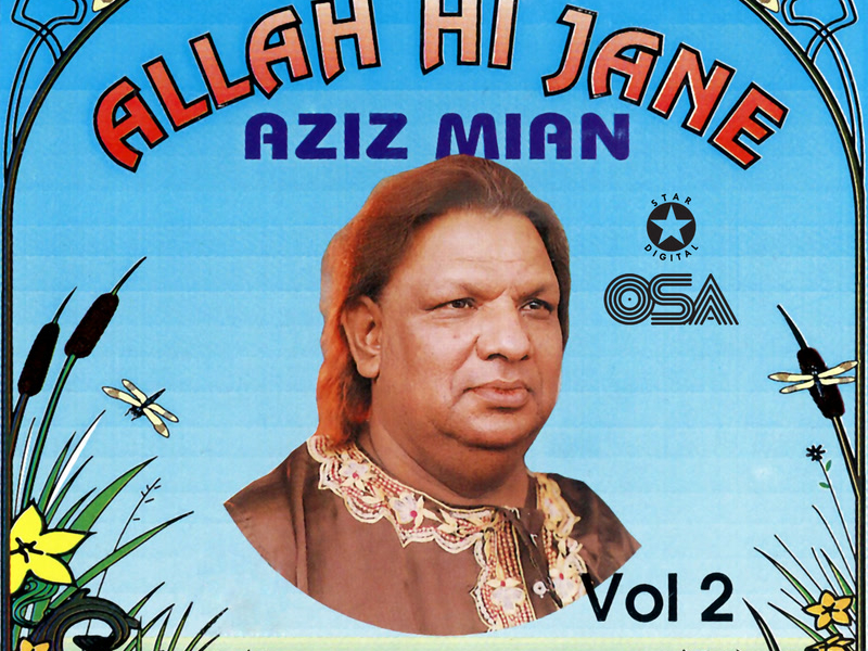 Allah Hi Jane, Vol. 2