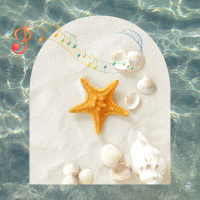 海の音楽 (Single)