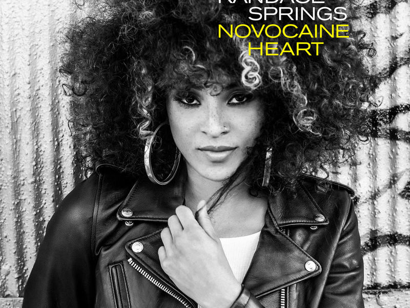 Novocaine Heart (Paul O'Duffy Remix) (Single)