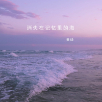 消失在记忆里的海 (纯享版) (Single)