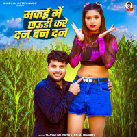Makai Me Chaudi Kare Dan Dan Dan (Single)