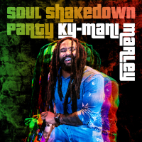 Soul Shakedown Party (Single)