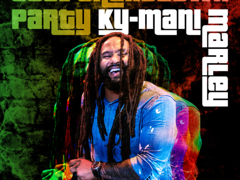 Soul Shakedown Party (Single)