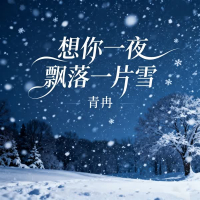 想你一夜飘落一片雪 (Single)