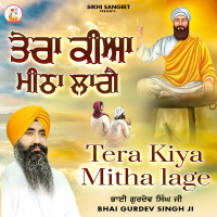Tera Kiya Mitha Lage (Single)