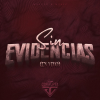 Sin Evidencias (Single)