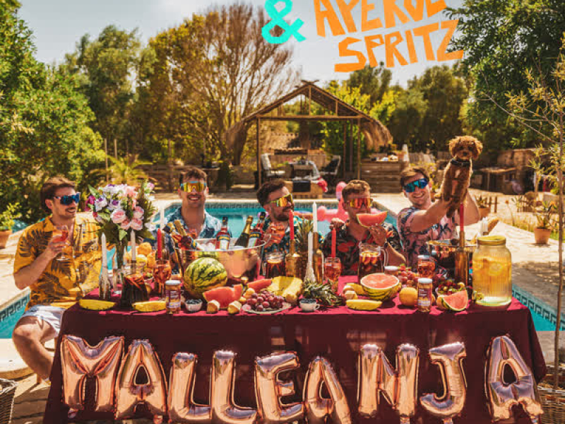 Bockwurst & Aperol Spritz (Single)