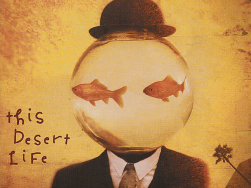 This Desert Life