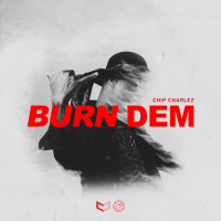 Burn Dem (Single)