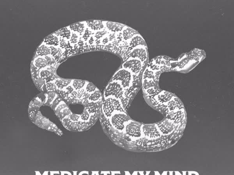 Medicate My Mind (Single)