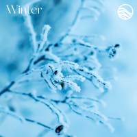 Winter (EP)
