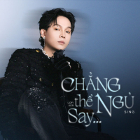 chẳng thể ngủ say (lofi ver) (Single)