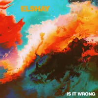 Is It Wrong (Single)