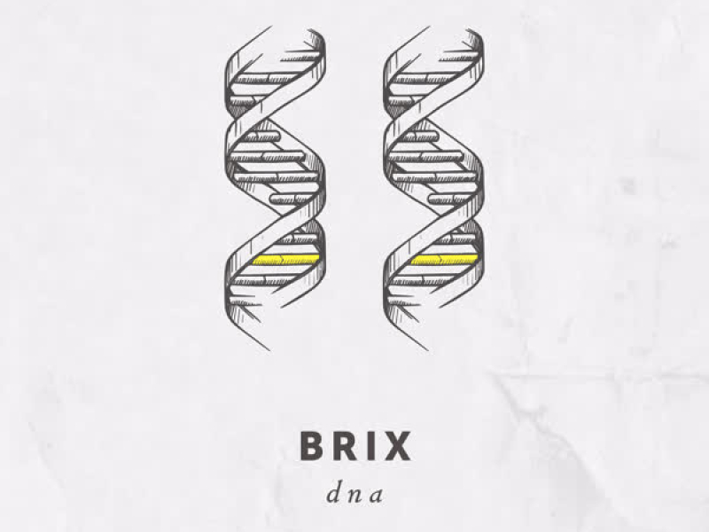 DNA (Single)