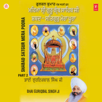 Satgur Mera Poora Vol-70, Part 2 (Single)