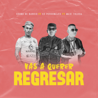 Vas a Querer Regresar (Single)