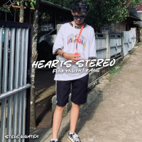 Hearts Stereo Fvnkynight Kane (Single)