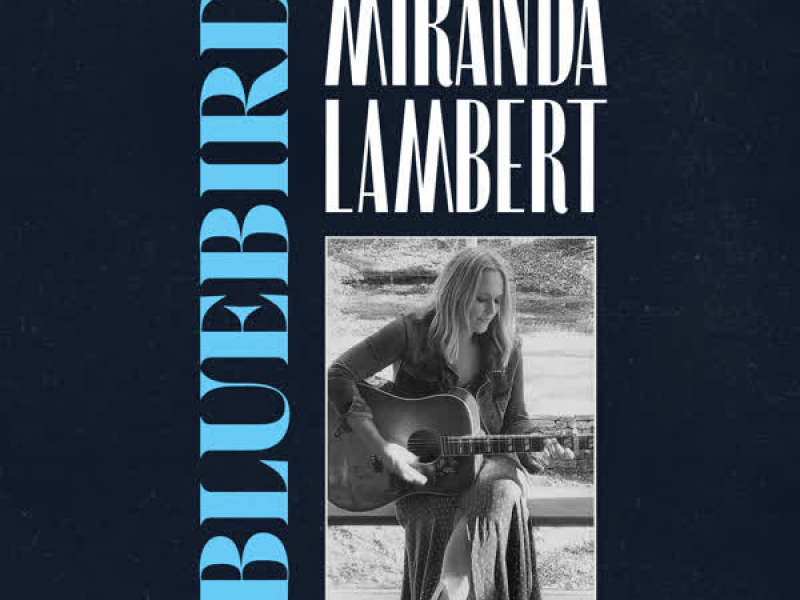 Bluebird (Acoustic) (Single)