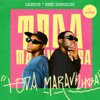 Toda Maravilhosa (Single)