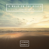 A Walk On The Beach (Single)