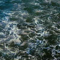 Smoke Before the Shower (Single)