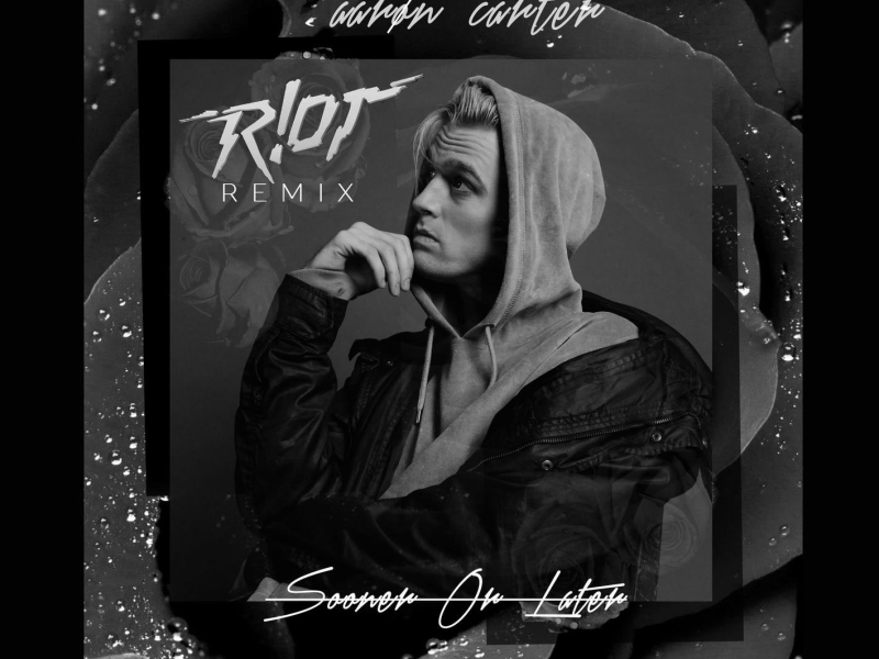 Sooner Or Later (R!OT Remix) (Single)