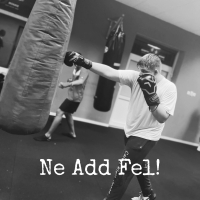 Ne Add Fel! (Radio Edit) (Single)