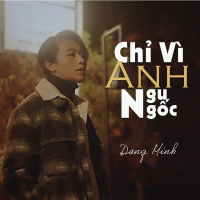 Chỉ Vì Anh Ngu Ngốc (Single)