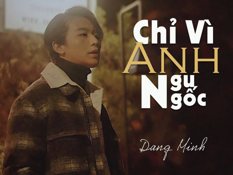 Chỉ Vì Anh Ngu Ngốc (Single)