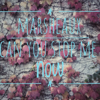 Can You Stop Me (now)? (Single)