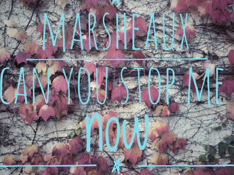 Can You Stop Me (now)? (Single)