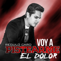 Voy a Pistearme el Dolor (Single)