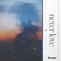 Never Love (Single)