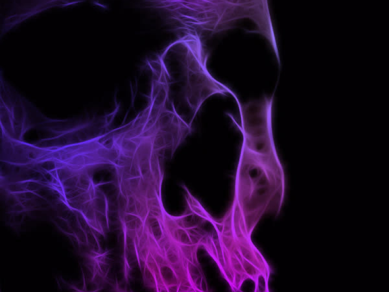 IDENTIFICATION (Single)