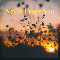 Never Leave You (Single)
