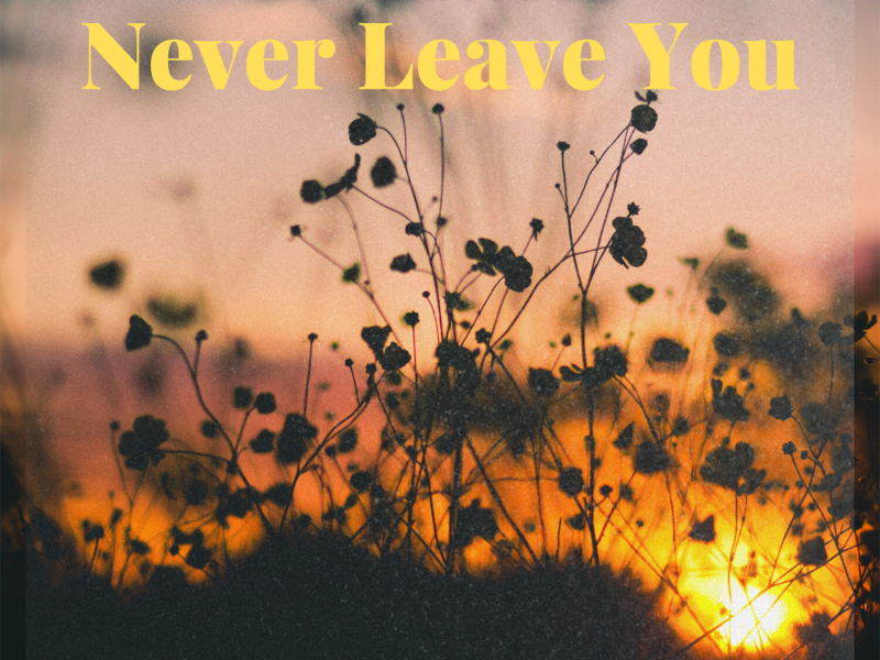 Never Leave You (Single)