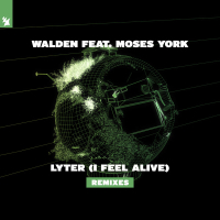 Lyter (I Feel Alive) (Remixes) (Single)