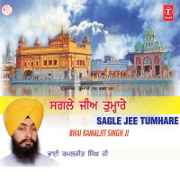 Sagle Jee Tumhare Vol-6