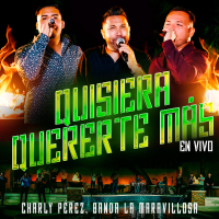 Quisiera Quererte Más (En Vivo) (Single)