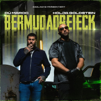 Bermudadreieck (Single)