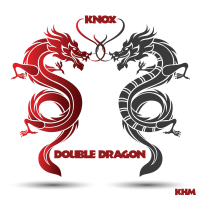 Double Dragon (Single)