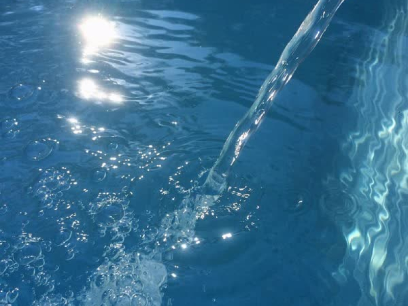 moon jellies (Single)