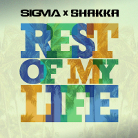 Rest Of My Life (Single)