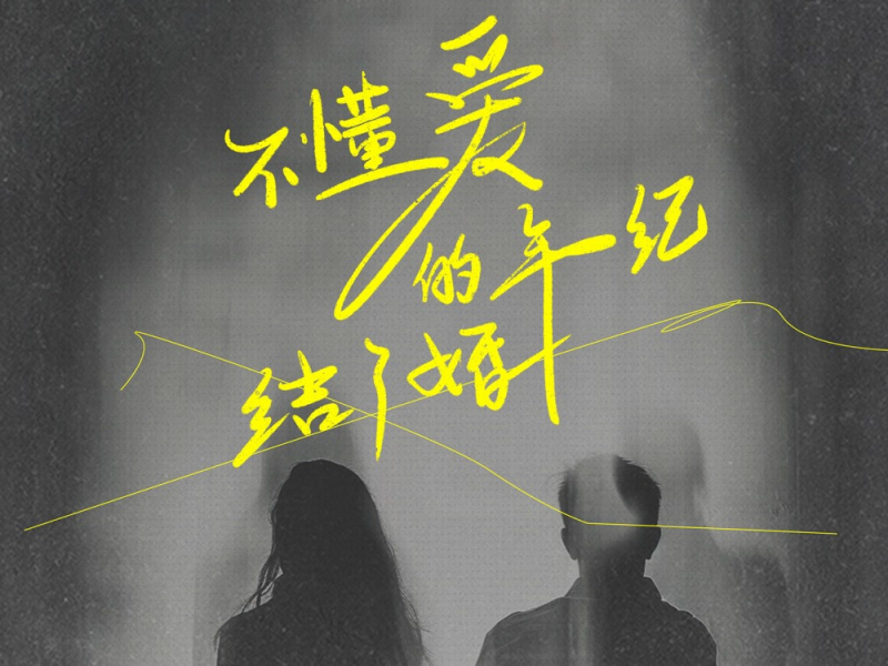 不懂爱的年纪结了婚 (Single)