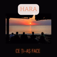 Ce Ți-aș Face (Single)