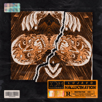 Hallucination (Single)